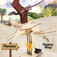 Poraxy 4 Pack Dinosaur Toys For Kids 8-12, Stem Kits, Toys For Ages 8-13, Wooden 3D Puzzle, Educational Science Building Projects Crafts, Birthday Gifts For Boys Girls 7 8 9 10 11 12 13 Years Old