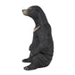 Mojo Sun Bear Realistic International Wildlife Hand Painted Toy Figurine