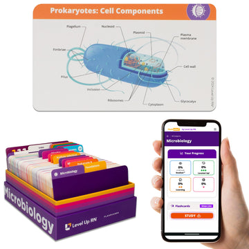Microbiology Flash Cards - No Fluff - Nursing School Essentials For Students - 2024-2025 Teas Hesi A2 Review Flash Cards (400 Ca