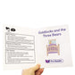 Junior Learning Letters & Sounds Phase 1 Set 2 Fiction,Multi