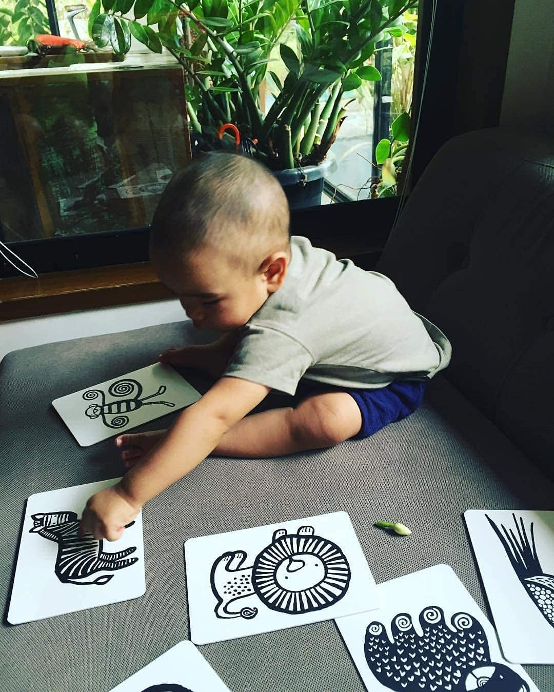 Wee Gallery Black And White Art Flash Cards For Babies, High Contrast Educational Animal Picture Cards, Baby Visual Stimulation, Brain And Memory Development In Infants And Toddlers - Jungle Animals