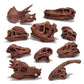 Lc Joycre 11Pcs Realistic Mini Dinosaur Bones Set T-Rex Skull For Sandbox Kids Toys Carnotaurus Velociraptot Brachiosaurus Ovira