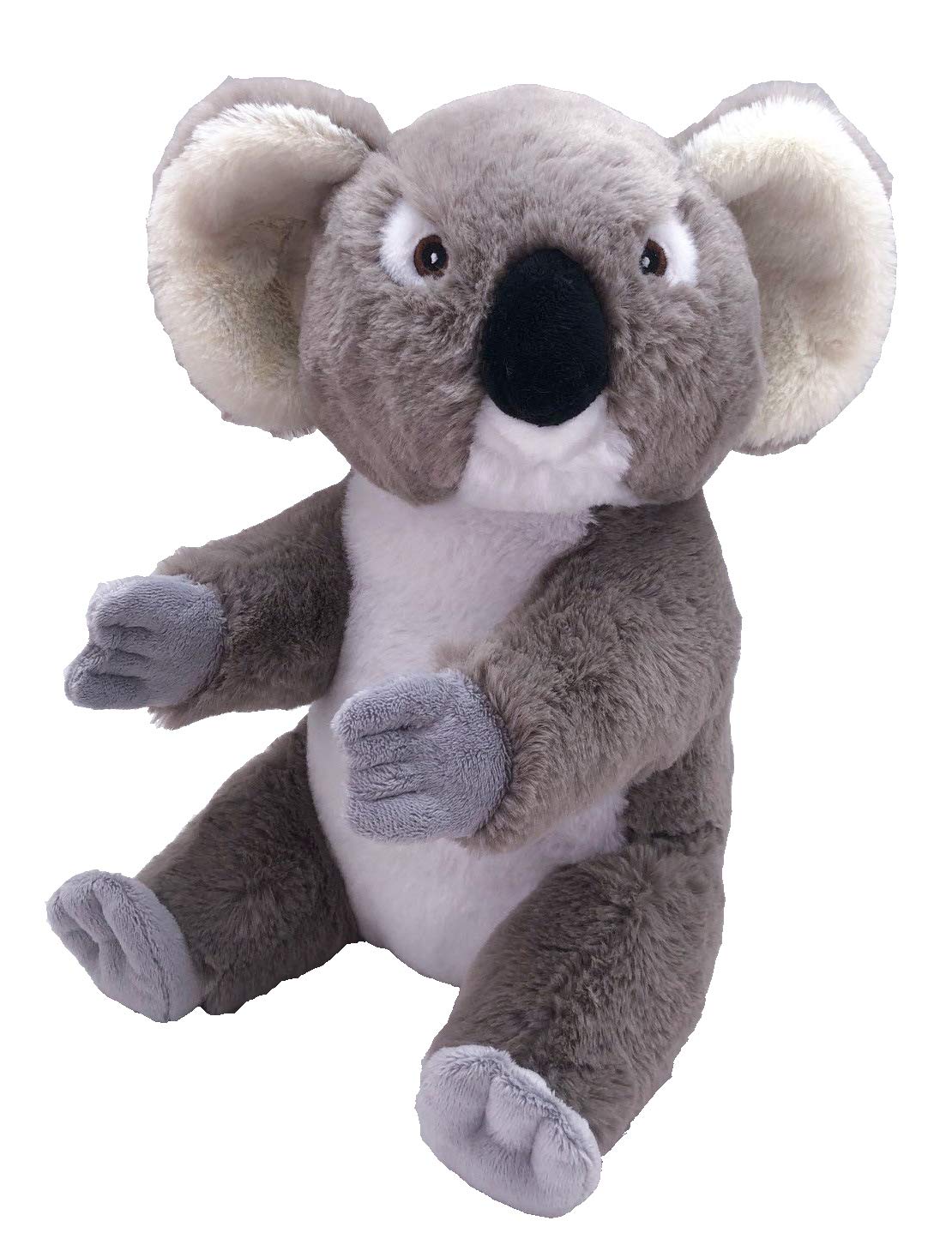 Ecokins Koala