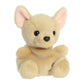 Aurora® Cookie Chihuahua™ Stuffed Animal - Brown, Small, 4.5 Inches - Fun Collectible Plush for Kids & Adults, Perfect for Rooms & Gifts