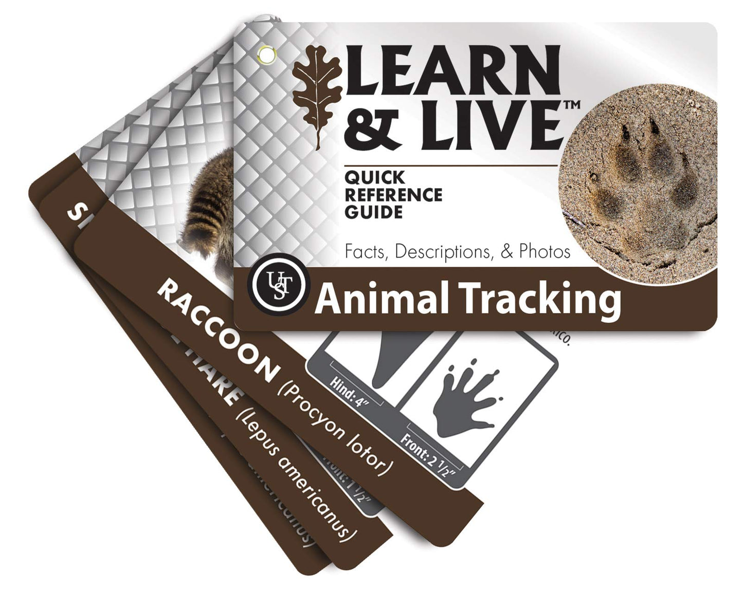 Ust Learn & Live Educational Card Set, Animal Tracking