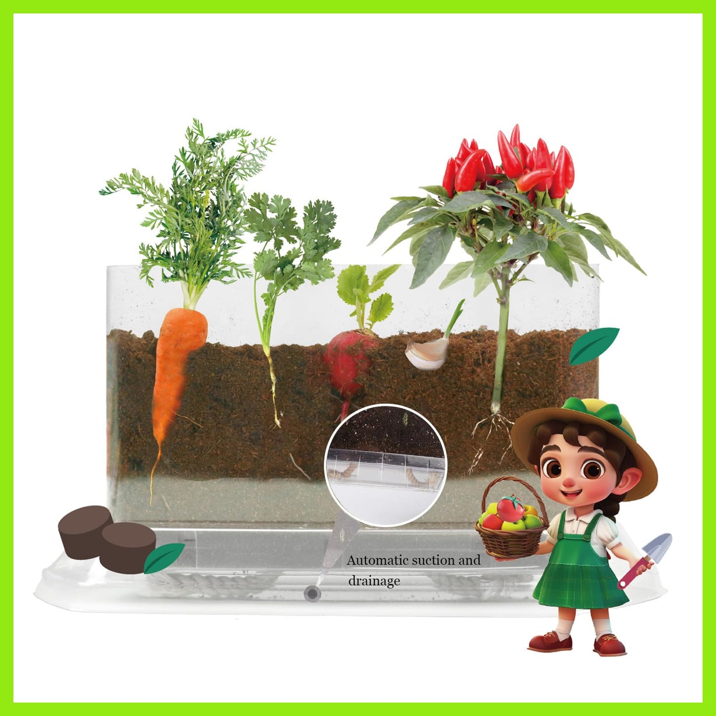 WKLOUYHE Root Viewer Kit – STEM Toy for Kids 6-10, Green Plastic Gardening Set, DIY Craft Growing Kit, Birthday & Easter Gift