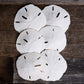 Sand Dollar | Real Sand Dollars 3 to 3 1/2 (Set of 6) | Sand Dollar Shells | Plus Free Nautical eBook by Joseph Rains