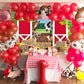 BAIFNEZ Farm Animals Backdrop Red Barn Farmhouse Barnyard Party Banner 7x5FT Country Farm Birthday Party Decorations for Kids Ba