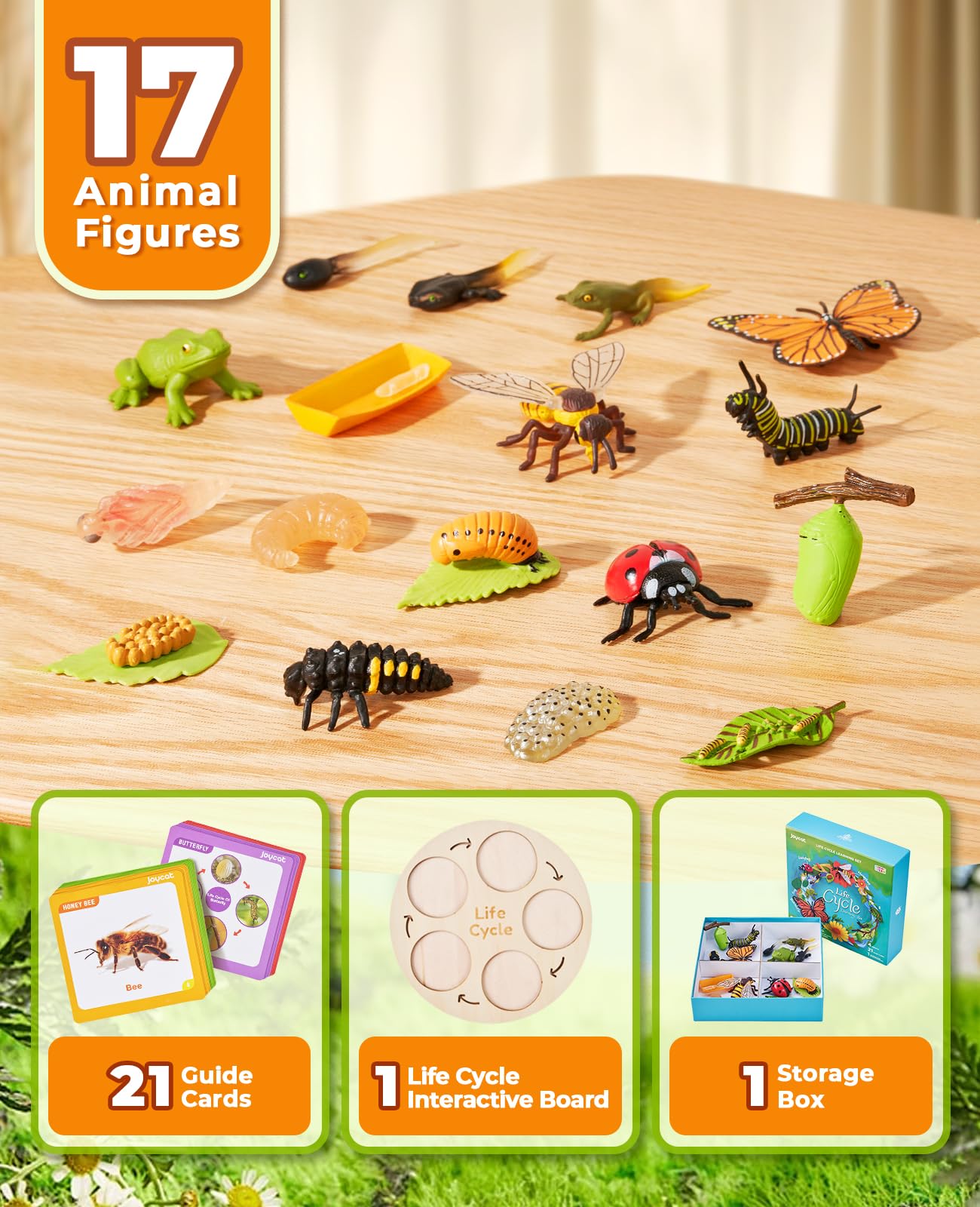 Joycat Life Cycle Learning Education Toys, Insect Caterpillar To Butterfly Kit, Ladybug, Bee, Tadpole To Frog Kit Life Cycle Toys For Kids, Preschool Learning Activities For Age 3 4 5 6 7 8