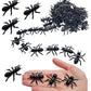 Large 1.5'' Black Carpenter Ant Toys (144 Pack) Plastic. Realistic Looking Ants. Prank, Props, Cake, Cupcake Decor And More! (14