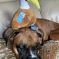 Spunky Pup Clean Earth Plush Pelican - Large, Brown, Made from 100% Recycled Water Bottles, Model 7206