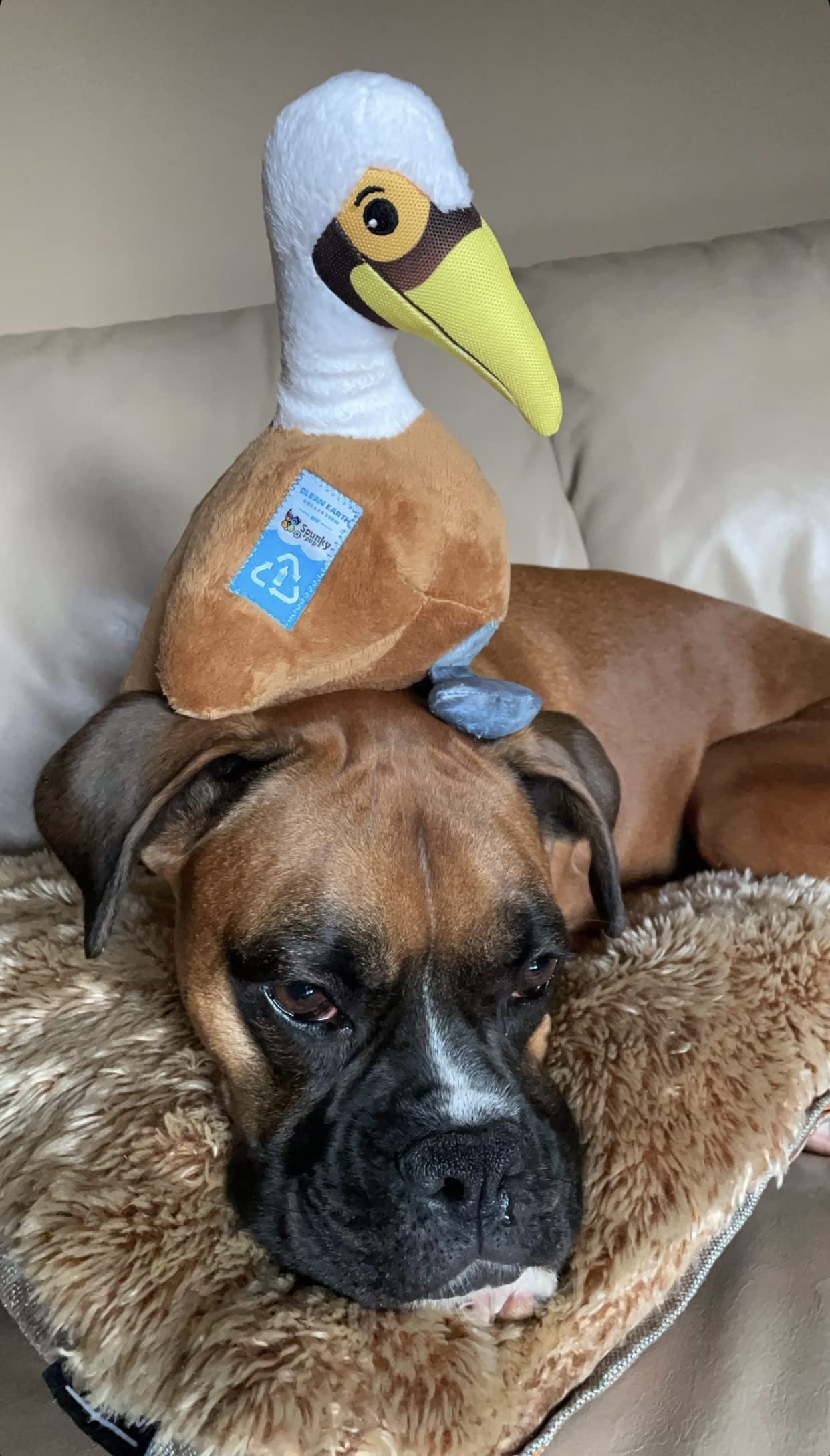 Spunky Pup Clean Earth Plush Pelican - Large, Brown, Made from 100% Recycled Water Bottles, Model 7206