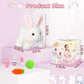 Bunny Toys For Kids, 2-In-1 Bunny Stuffed Animal With Pet Sling Carrier For Indoor And Outdoor, Perfect Christmas, Easter Gifts,