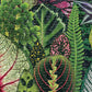 Galison Houseplant Jungle 1000 Piece Jigsaw Puzzle For Adults – Plant Jigsaw Puzzle With Mix Of Succulents & Other Household Plants – Fun Indoor Activity, Multicolor