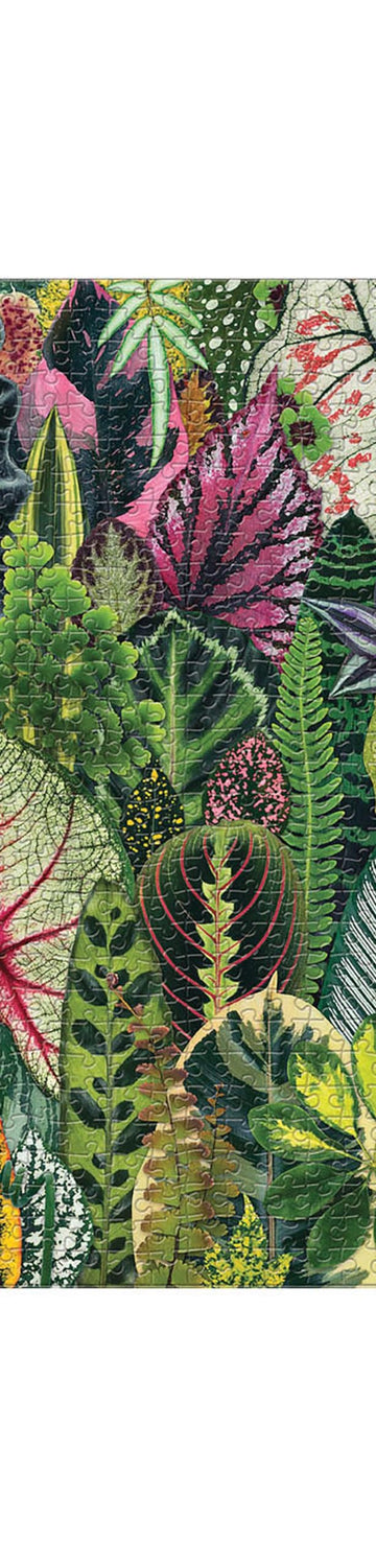 Galison Houseplant Jungle 1000 Piece Jigsaw Puzzle For Adults – Plant Jigsaw Puzzle With Mix Of Succulents & Other Household Plants – Fun Indoor Activity, Multicolor