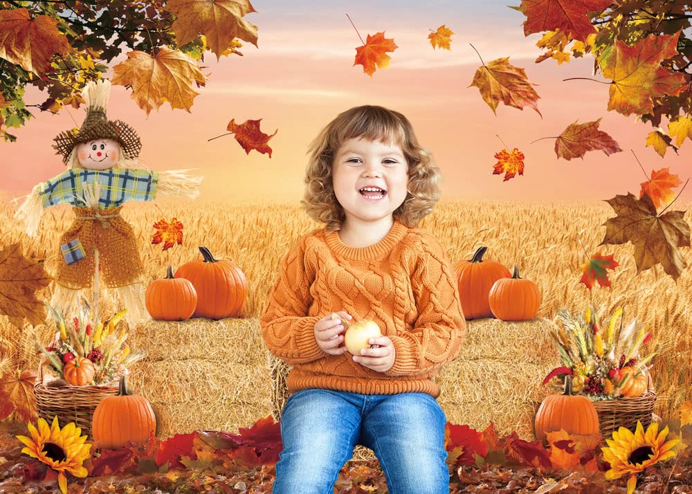 Autumn Photography Background Thanksgiving Harvest Barn Party Backdrop Pumpkin Maple Leaf Hay Wooden Decor Baby Shower Cake Tabl