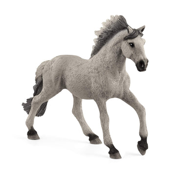 13915 - Sorraia Mustang Stallion