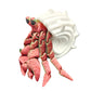 3D Printed Animals Hermit Crab Articulated Toy - Multicolor 3D Printed Toys For Fidgeting, Lifelike Soothing Experience, Satisfy