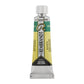 Rembrandt Watercolour Tube 10 ml Bluish green 640 (05016400)