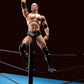 Bandai Tamashii Nations S.H. Figuarts Dwayne The Rock Johnson ''Wwe'' Action Figure