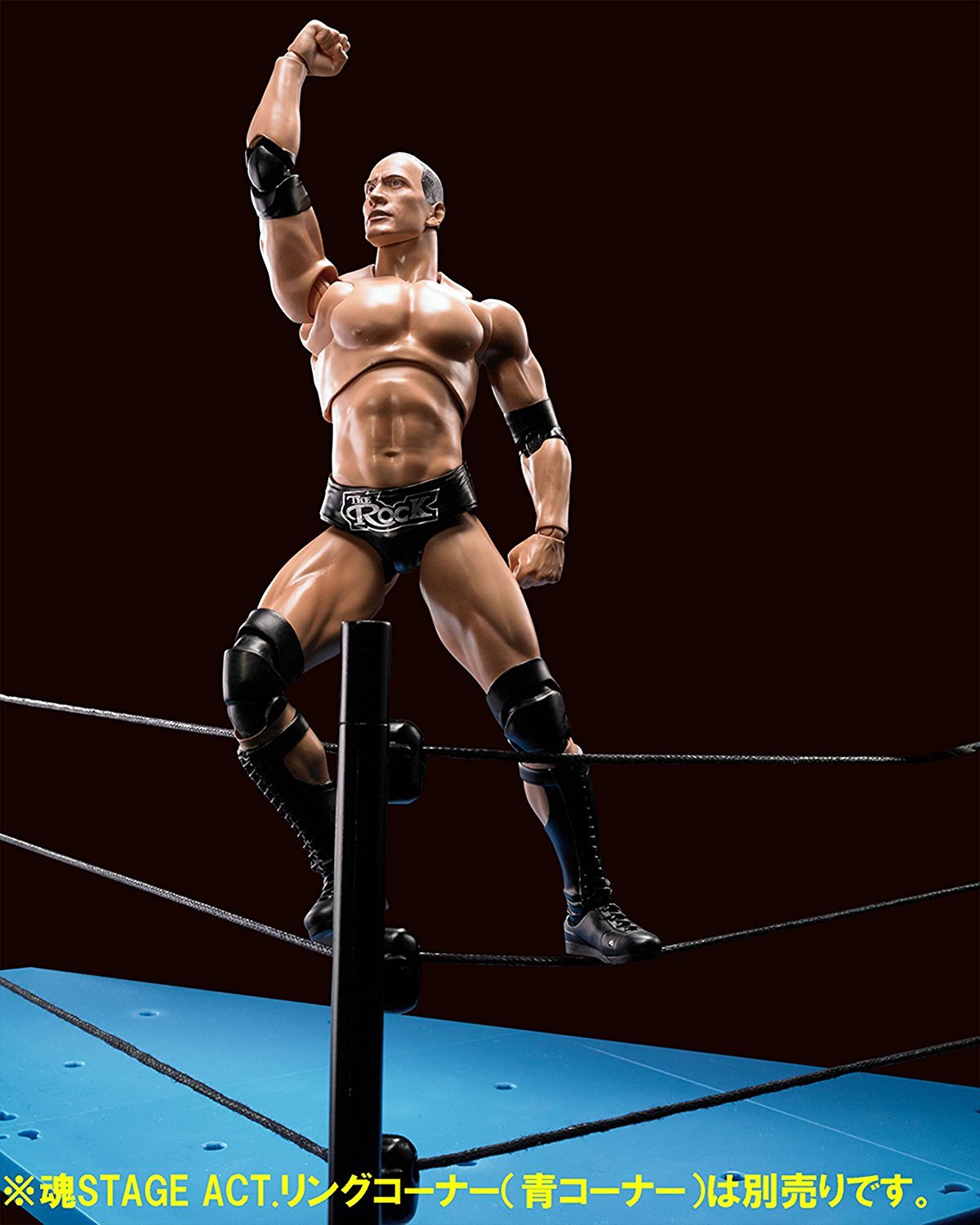 Bandai Tamashii Nations S.H. Figuarts Dwayne The Rock Johnson ''Wwe'' Action Figure