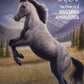 Breyer Classics Wild Blue: Book And Horse Toy Set (1:12 Scale)