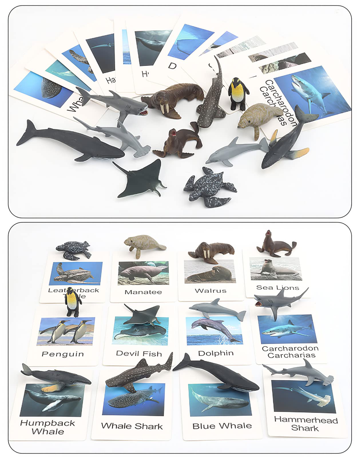 24 Small Animal Figurines Learning & Education Toys, Plastic Realistic Zoo Jungle Safari Sea Ocean Animal Figures, Preschool Learning Activities Matching Game Science Toys