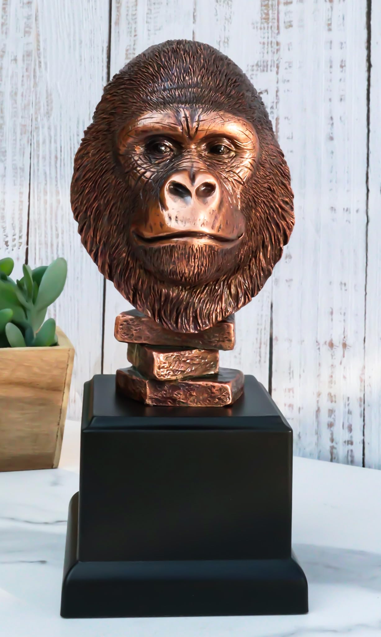 Ebros Gift Silverback Gorilla Bust Statue, 8.25" Tall, Sepia Bronze Polyresin, Black Trophy Base, Amazon Rainforest Decor