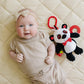 Genius Baby Toys Panda Soft Sensory Toy With Teething Ring For Baby, Attaches To Stroller, 8'