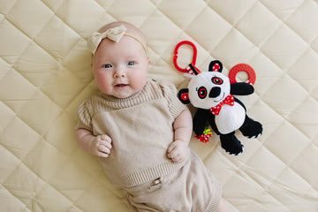 Genius Baby Toys Panda Soft Sensory Toy With Teething Ring For Baby, Attaches To Stroller, 8'