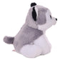 ty Beanie Baby Buff The Husky Dog