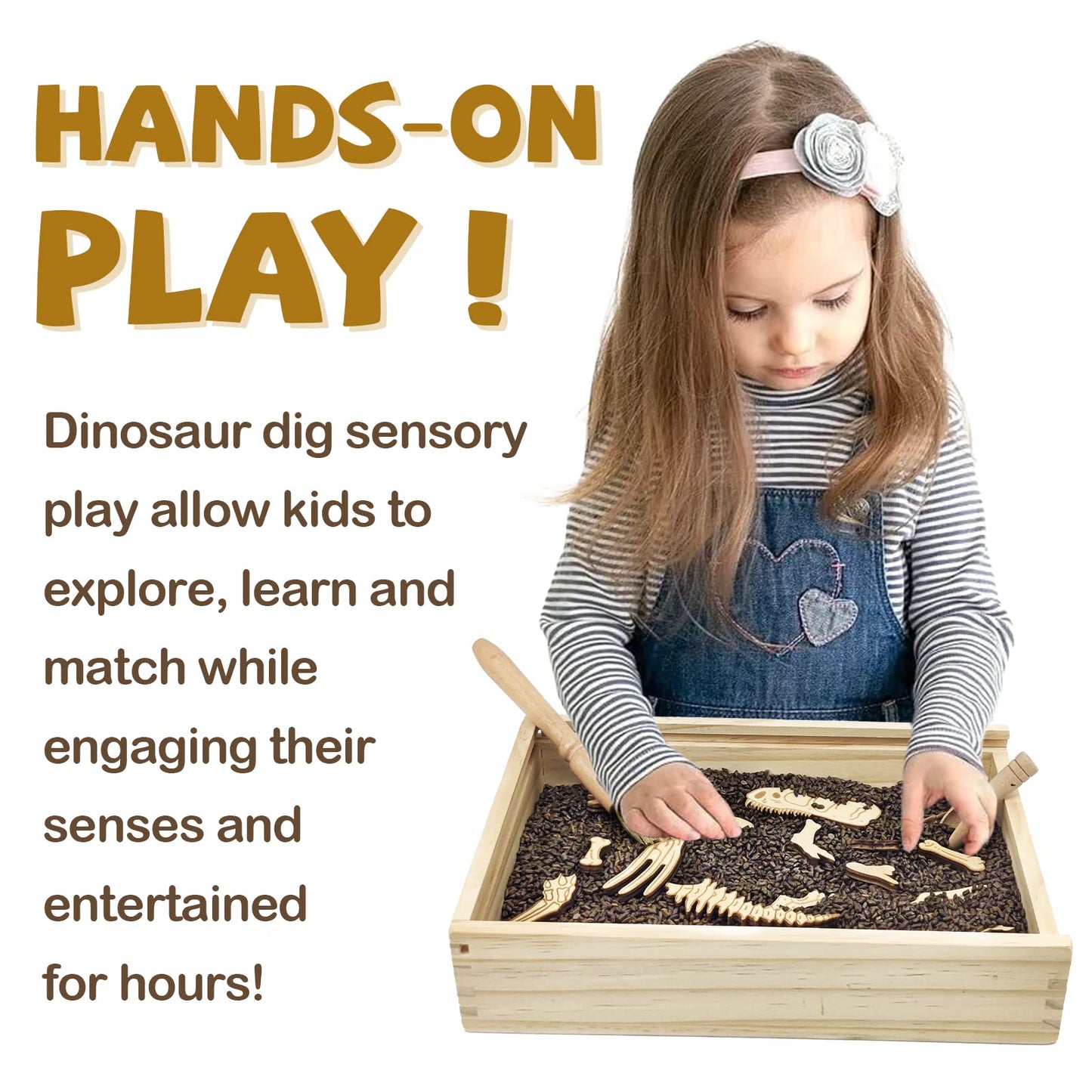 Xylolin Dinosaur Excavation Kit - Sensory Bin Toys for Kids, Medium Size, Brown, Includes Dino Skeletons and Bones Puzzle Game