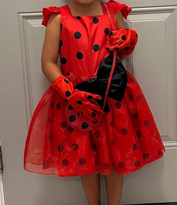 Sgehen Girls Ladybug Costume Dress Birthday Halloween Christmas Cosplay Party Dress 8 9