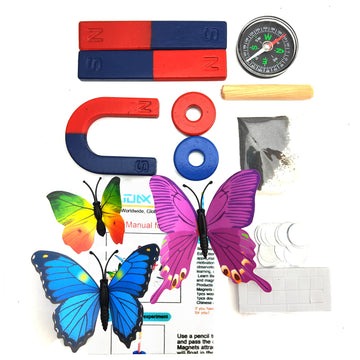 Eudax Physics Science Magnets Kit For Education Science Experiment Tools Icluding Bar/Ring/Horseshoe/Compass Magnets