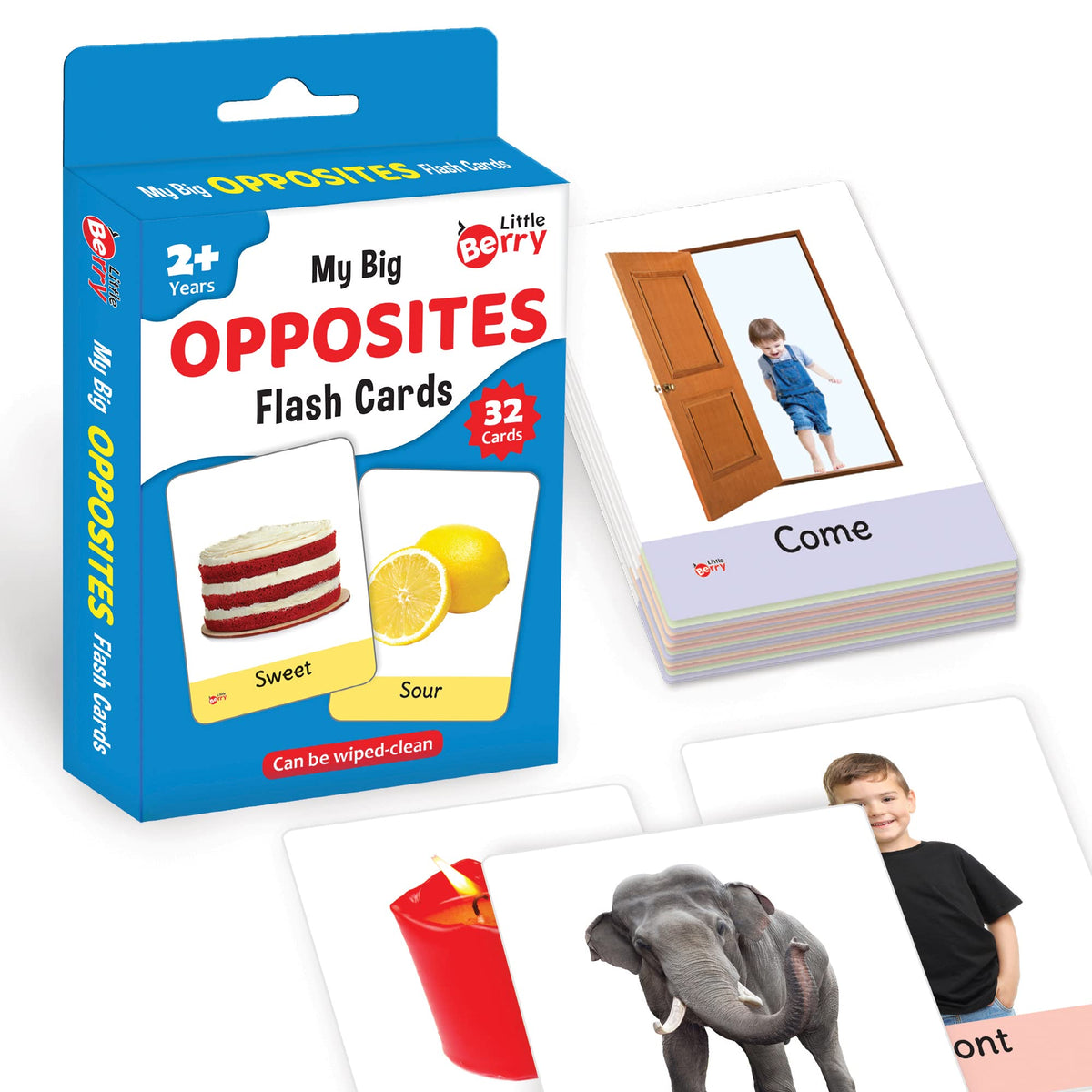 Little Berry Big Flash Cards for Kids: Opposites | 32 Doublesided Picture Cards, Durable & Water Resistant | Early Learning & D