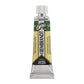 Rembrandt Watercolour Tube 10 ml Hooker green deep 645 (05016450)