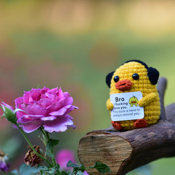 Qyqkfly Funny Crochet Handmade Emotional Ducks Mental Support Positive Supportive Encouragement For Women Men Birthday Christmas