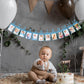 Nogeqi 12PCS 1st Birthday Photo Banner from Newborn to 12 Months, 1st Year Down Birthday Decorations, Glitter First Birth Day Ba