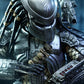 Hot Toys Sideshow Scar Predator Sixth Scale Figure, 14 inches, Multicolor, Model MM#190