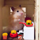 30 Pcs Miniature Food Drinks Laptop Computer Books Toys Dollhouse Miniature Furniture Plastic Table Fits Accessories Scale Dollh