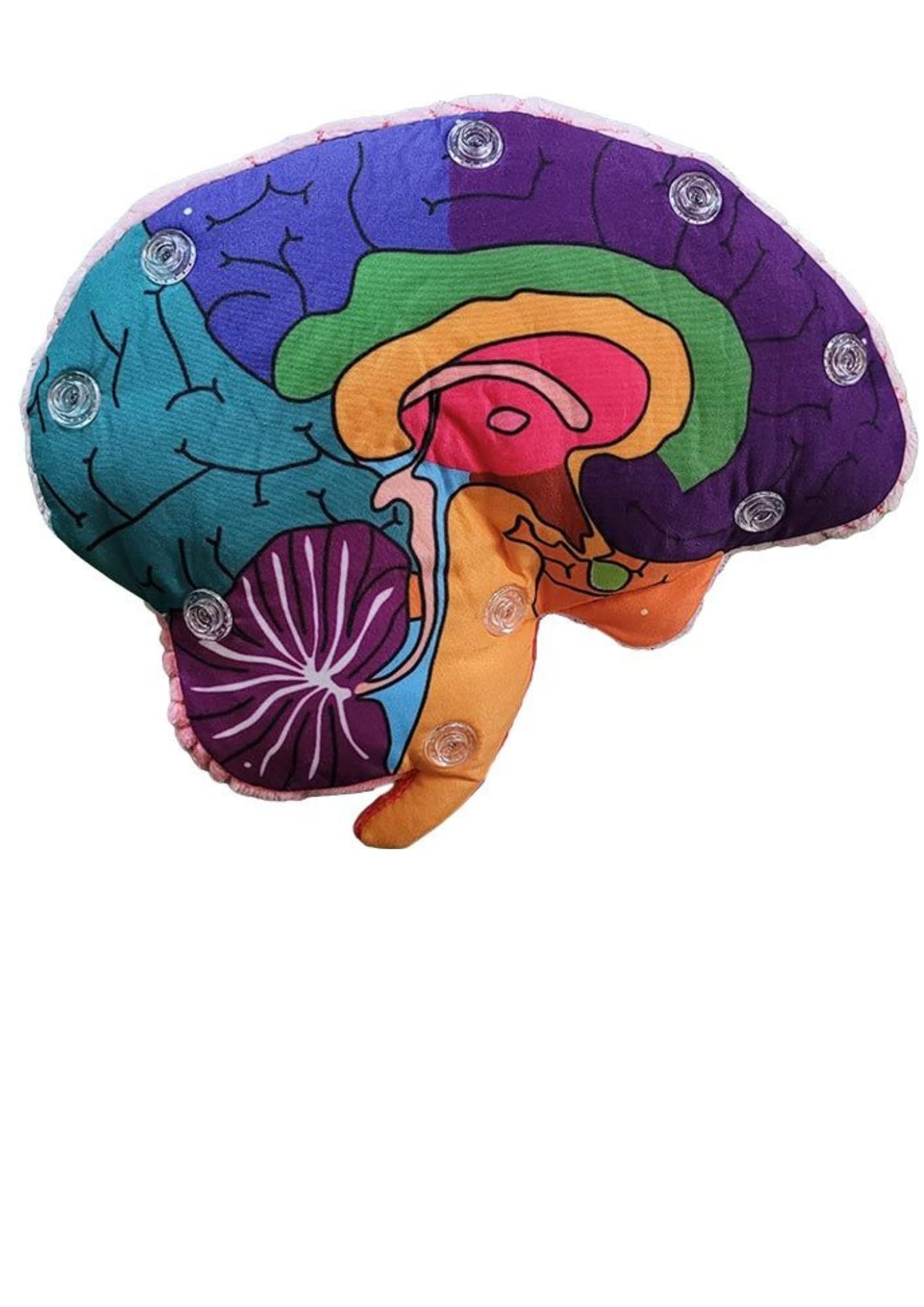 Giantmicrobes Brain Model, Human Brain Anatomy Model, Brain Model For Kids, Brain Model For Neuroscience, Brain Model For Teaching, Brain Model For Psychology, 3D Brain Model, Brain Anatomy Toy