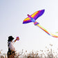 Mints Colorful Life Large Phoenix Bird Kite For Kids Adults, Easy To Fly Single Line Beach Kite, Comes With Kite Handle And 300F
