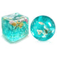 2Pcs Taba Squishy, Squishy, Sensory Fidget Toys , Ocean Shell Design Squishy Toy Set, Square and Round Shell Shapes, 2 Pieces Pa