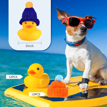 Chivao 12 Pcs Rubber Ducks With 12 Sunglasses/ Hats/ Headwear/ Scarf Small Cruise Ducks In Bulk Mini Rubber Duckies Bathtub Toys For Valentine'S Day Gift Hide(Yellow, Duck With Hats)