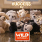 Wild Republic Huggers, Koala Plush Toy, Slap Bracelet, Stuffed Animal, Kids Toys, 8', Model:21093