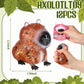 Meooeck 12 Pcs Capybara Stress Relief Toys Stress Balls for mature-themed Mini Glitter Capybara Squeeze Fun Fidget Toys Animal Balls Cute for Birthday Party Office Christmas Stocking Stuffer Gift Adhd Anxiety