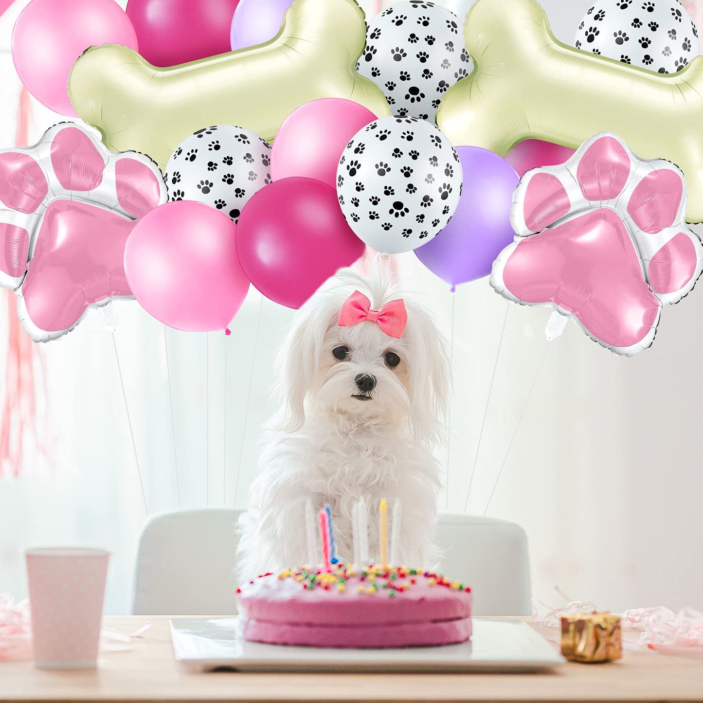 46 Pcs Dog Themed Balloon Decoration Set With Paw Print And Bone Balloons Birthday Party Supplies(Lovely Colors)