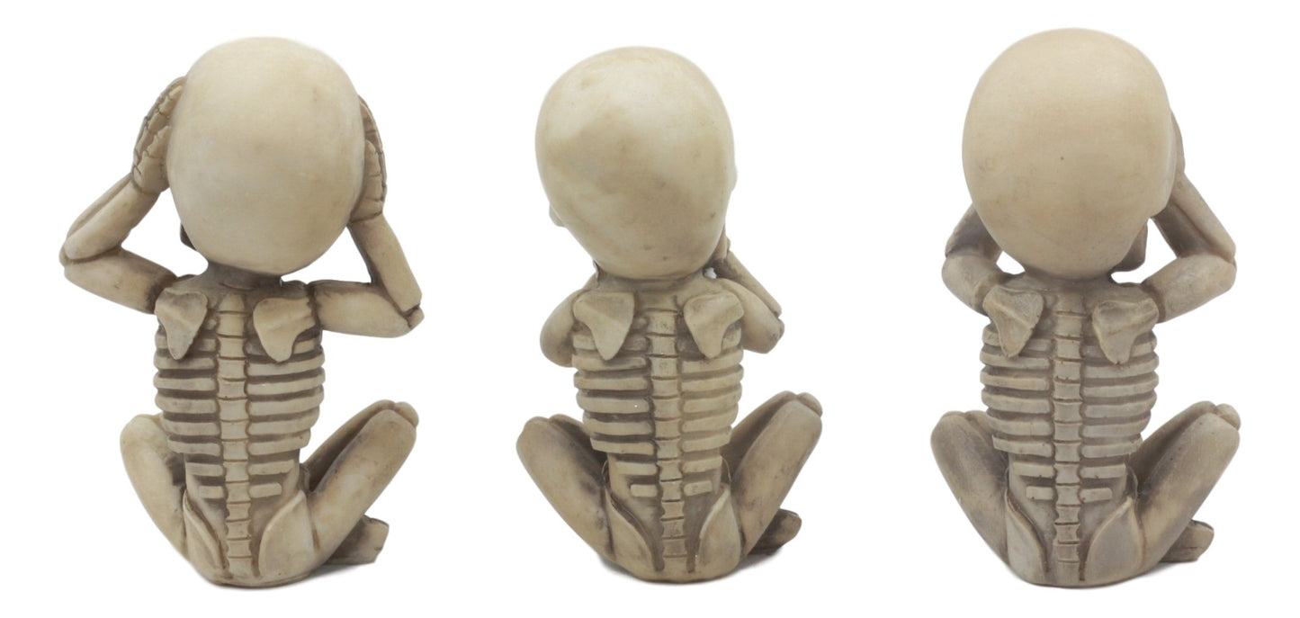 Ebros Gothic Alchemy Whimsical See Hear Speak No Evil Baby Skeletons Statue Set Of Three 4.25' High Halloween Decor Ossuary Graveyard Macabre No Evils Skulls Skeletons Skeletal Figurines