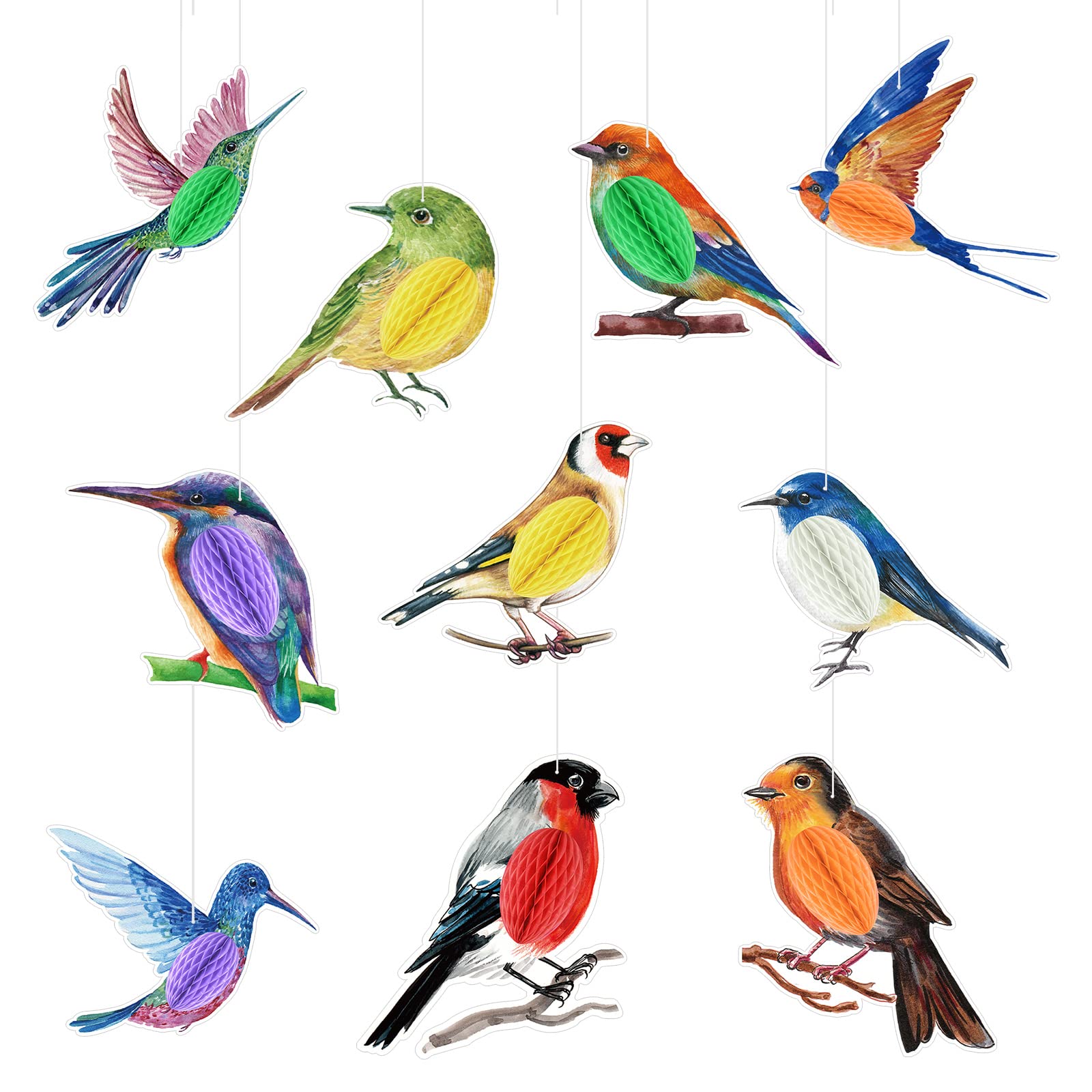 PerKoop 10 Pcs Bird Party Decorations Tropical Bird Honeycomb Paper Cutouts Jungle Rainforest Theme Hanging Parrot Bird Birthday