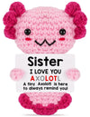 Weming Sisters Gifts From Sister, Crochet Axolotl Gifts For Bestie Bff & Little Sister In Law On Birthday & Christmas Stocking S